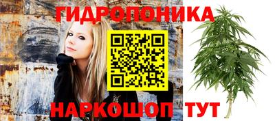 mdma Обь
