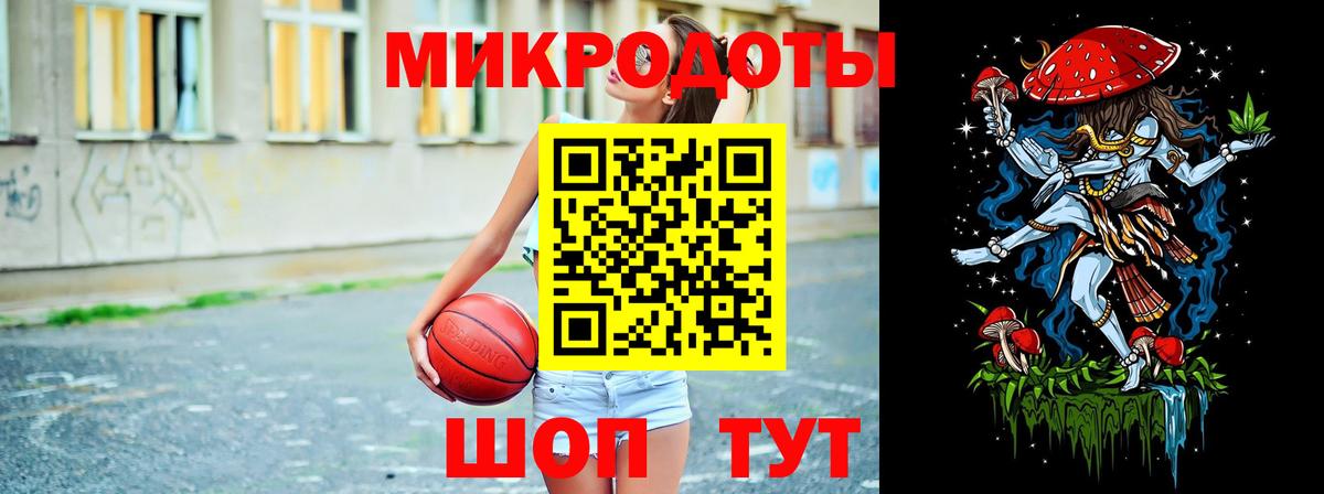 Псилоцибиновые грибы Psilocybe Сочи